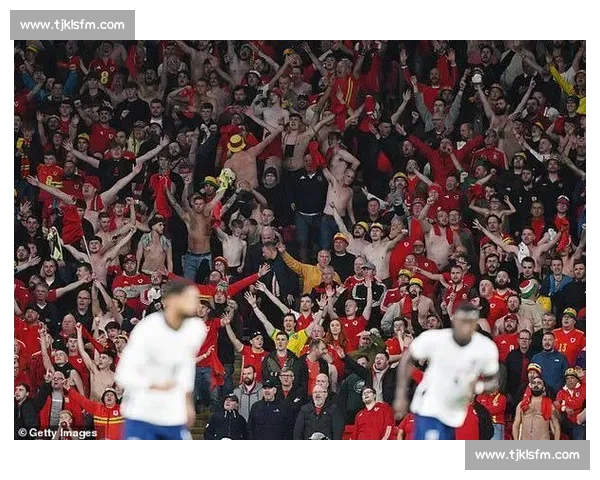 国旗风波升级:内维尔遭英格兰球迷看台辱骂